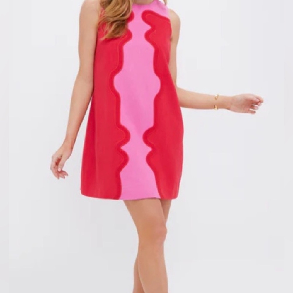 Tuckernuck Poppy and Hot Pink Placed Embroidery Marlowe Dress Size XXL